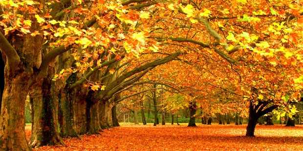 Meteo 7 noiembrie 2025: Cer înnorat în toată țara, temperaturi moderate de toamnă