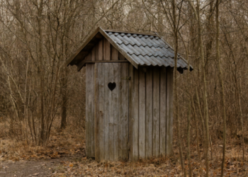 Nivelul de trai în Moldova al gospodăriilor cu persoane cu dizabilități: doar 59 la sută au veceu cu apă în casă