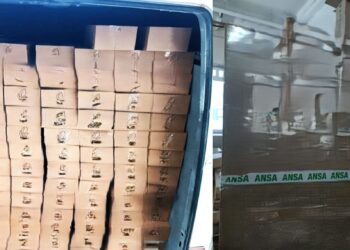 В Молдову пытались завезти 374 кг чая с пестицидами