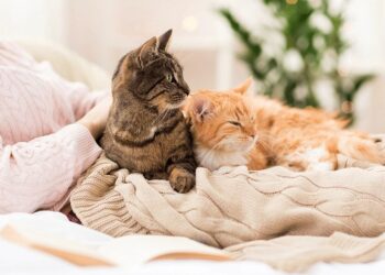 Синоптики рассказали какой будет погода 9 декабря