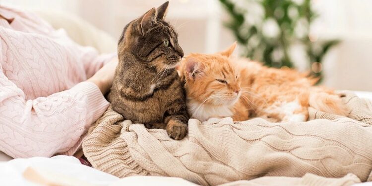 Синоптики рассказали какой будет погода 9 декабря