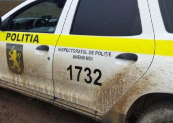 Пешеход погиб после того, как его сбил автомобиль, в Анений Ной. За рулём находился 19-летний водитель