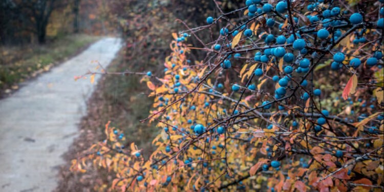 Стабильная погода: облака, лёгкий дождь и туман