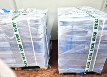 Carne de pui contaminată cu Salmonella, oprită de ANSA la intrarea în țară