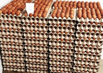 Ouă contaminate cu antibiotice, retrase urgent din magazine