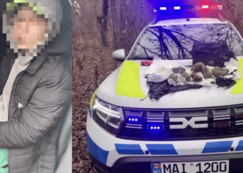 Droguri de sute de mii de lei confiscate în Chișinău: mai mulți tineri reținuți