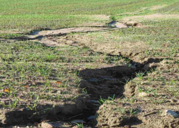 Почти 30% сельскохозяйственных угодий в Республике Молдова подвержены эрозии