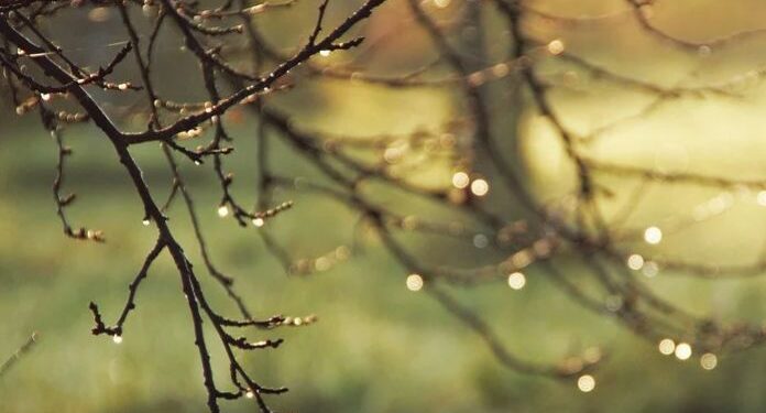 Vreme mohorâtă pe 4 decembrie: ploi slabe și temperaturi blânde în toată Moldova