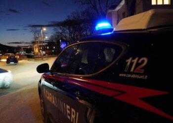 В Италии сиделку из Молдовы арестовали за покушение на убийство 83-летней подопечной