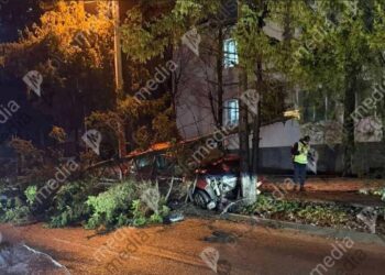 В Кишиневе пьяный водитель протаранил ель у здания Центра семейного правосудия ГИП