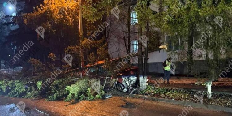 В Кишиневе пьяный водитель протаранил ель у здания Центра семейного правосудия ГИП