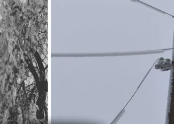 Тысячи потребителей на севере Молдовы остаются без света из-за обледенения