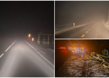 Густой туман и гололедица на трассах: дорожные службы работают в усиленном режиме