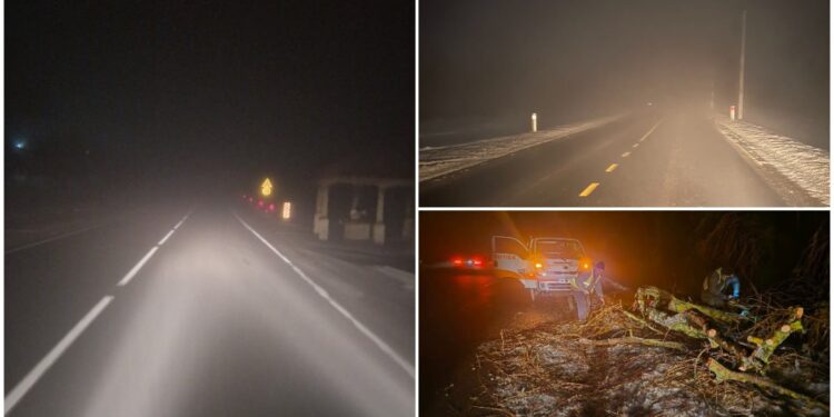 Густой туман и гололедица на трассах: дорожные службы работают в усиленном режиме