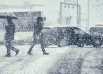 Правительство сокращает рабочий день в пятницу из-за неблагоприятной погоды