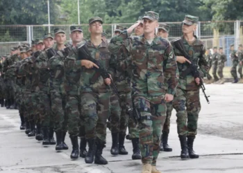 Военная часть в Бэчое продолжает расширяться