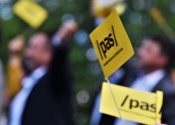 Pas recunoaște de ce a modificat legea cetățeniei: a vrut să lovească în diaspora din Rusia