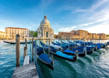 Венеция столкнулась с нашествием опасных медуз