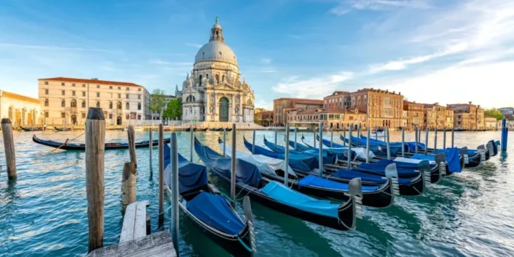 Венеция столкнулась с нашествием опасных медуз