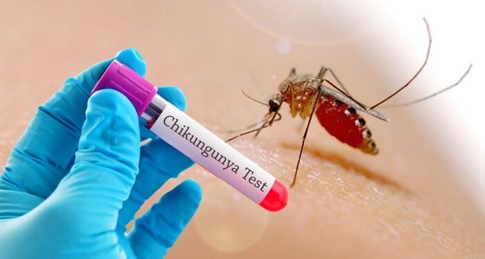 В Румынии выявили первый случай опасного вируса чикунгунья