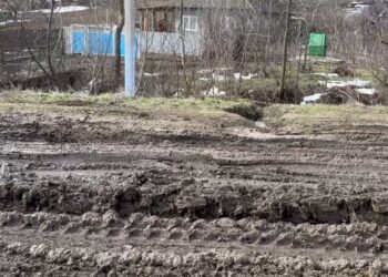 Школьный автобус увяз в грязи: Дети платят цену за реорганизацию школ