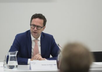 «Herman vam!» В парламенте провалилось голосование по главе комиссии веттинга фон Хебелю