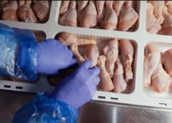 Скандал вокруг украинской курятины: импортеры и производители оспаривают запрет ANSA