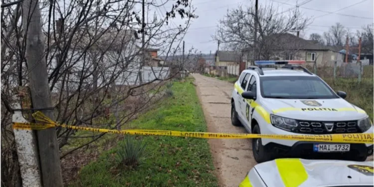 Шокирующие подробности дела на ферме в Анений Ной: число жертв выросло до шести