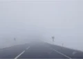 Опасность на дорогах: трассу М3 на юге Молдовы накрыл густой туман