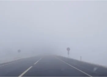 Опасность на дорогах: трассу М3 на юге Молдовы накрыл густой туман