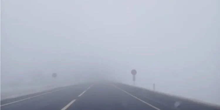 Опасность на дорогах: трассу М3 на юге Молдовы накрыл густой туман