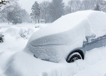 Ледяной плен Нью-Йорка: 14 жертв аномальных холодов