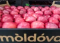 Moldova exportă mai puține mere