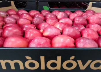 Moldova exportă mai puține mere