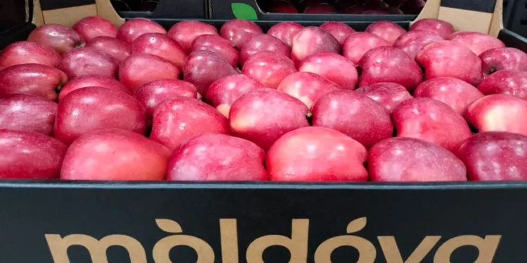 Moldova exportă mai puține mere