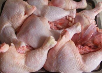 Moldova riscă să piardă 40 de milioane de dolari din cauza ”războiului cărnii de pasăre” cu Ucraina