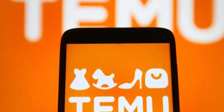 Tânără angajată a unui centru de plasament, condamnată după ce a făcut comenzi pe Temu cu bani străini