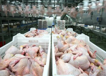 Украина грозит Молдове ответными мерами из-за запрета на импорт куриного мяса