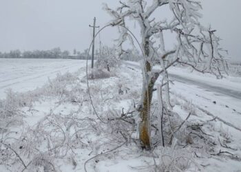 Отключения света после непогоды в Центре и на юге страны