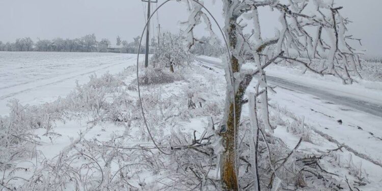 Отключения света после непогоды в Центре и на юге страны