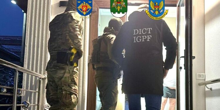 Схема на миллионы: транспортные компании скрыли налоги при перевозках в ЕС и Россию