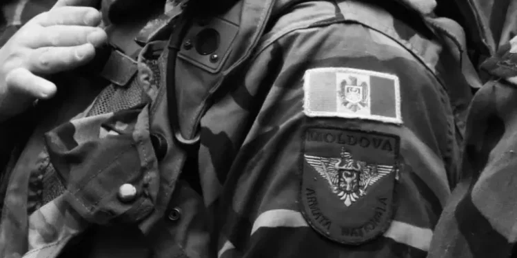 Ministerul Apărării, despre rezultatele anchetei privind moartea a doi soldați