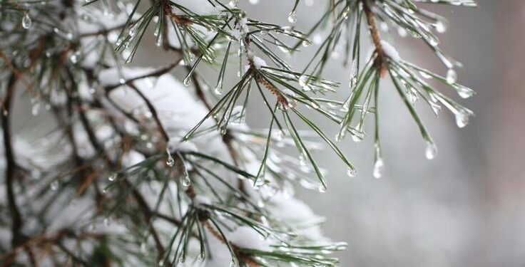 Vreme mohorâtă și lapoviță în toată țara: Șoferii, avertizați asupra riscului de ghețuș