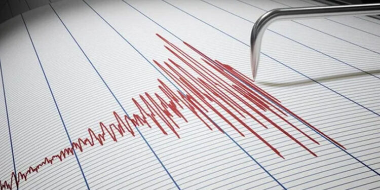 Cutremur în zona seismică Vrancea. Ce magnitudine a avut