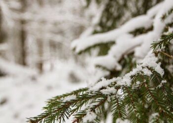 Răcire accentuată și risc de ghețuș pe drumuri în toată țara