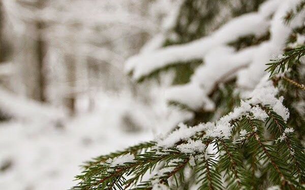 Răcire accentuată și risc de ghețuș pe drumuri în toată țara