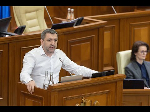 Șeful Comisiei Securitate nu confirmă fabrica de armament, dar susține apariția unei asemenea producții