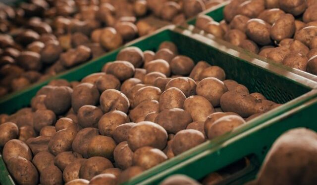 Молдова была основным покупателем украинского картофеля в 2025 году