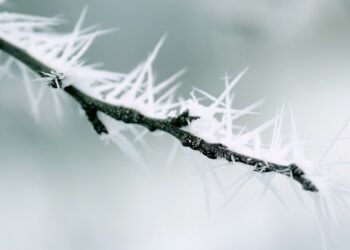 Ninsori slabe și ghețuș pe drumurile din Moldova