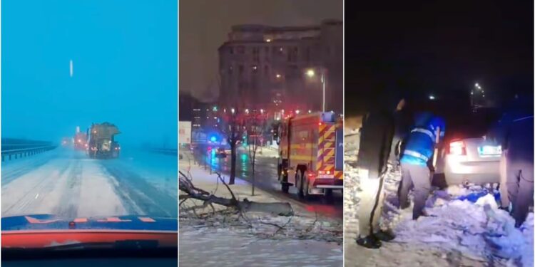 Сodul galben de ninsori și viscol a făcut prăpăd în mai multe județe: copaci rupți și mașini distruse în București, drumuri închise sau restricționate în 16 județe